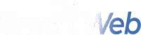 the Smart Web