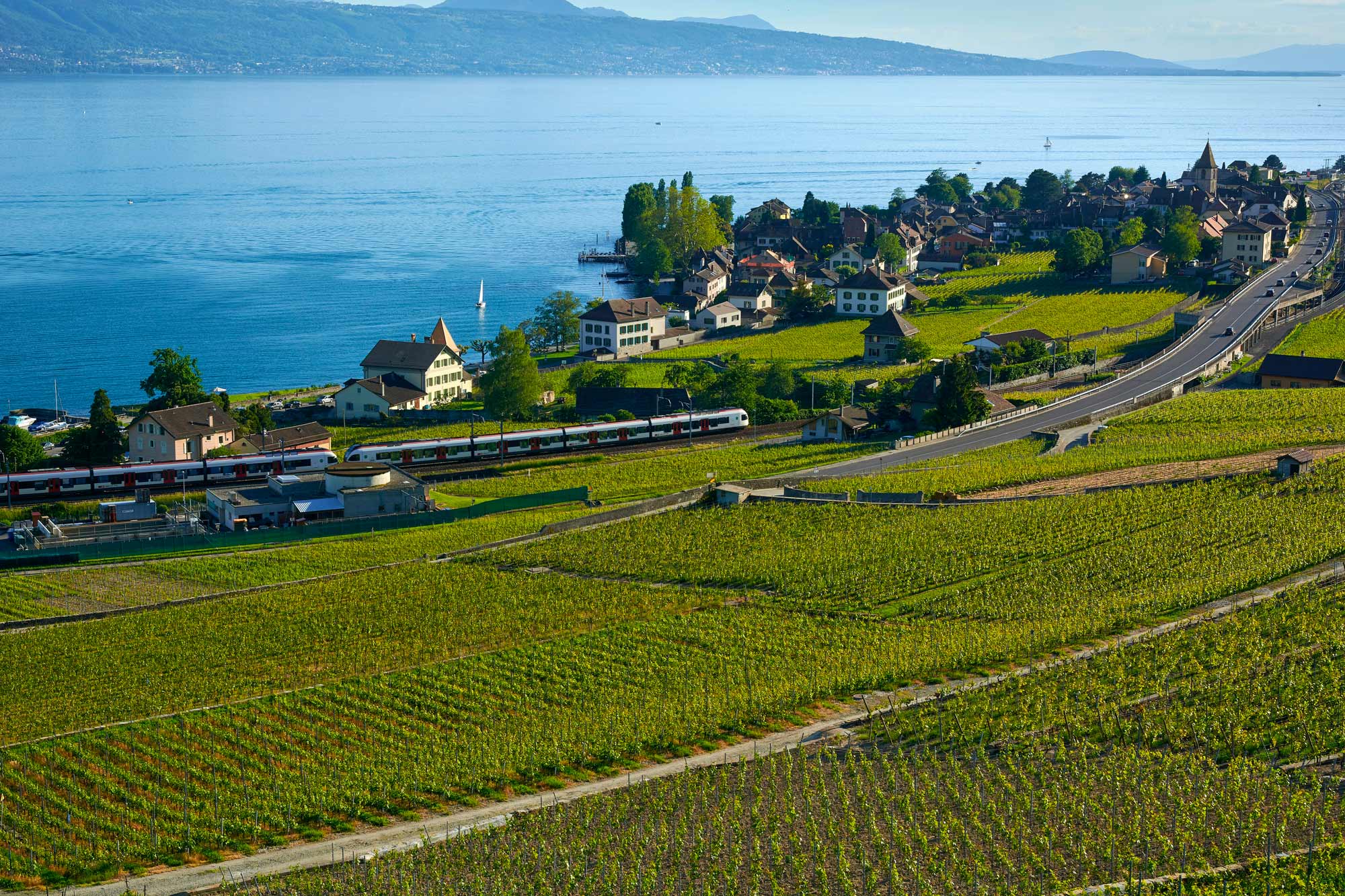Astuces SEO Lausanne Lavaux